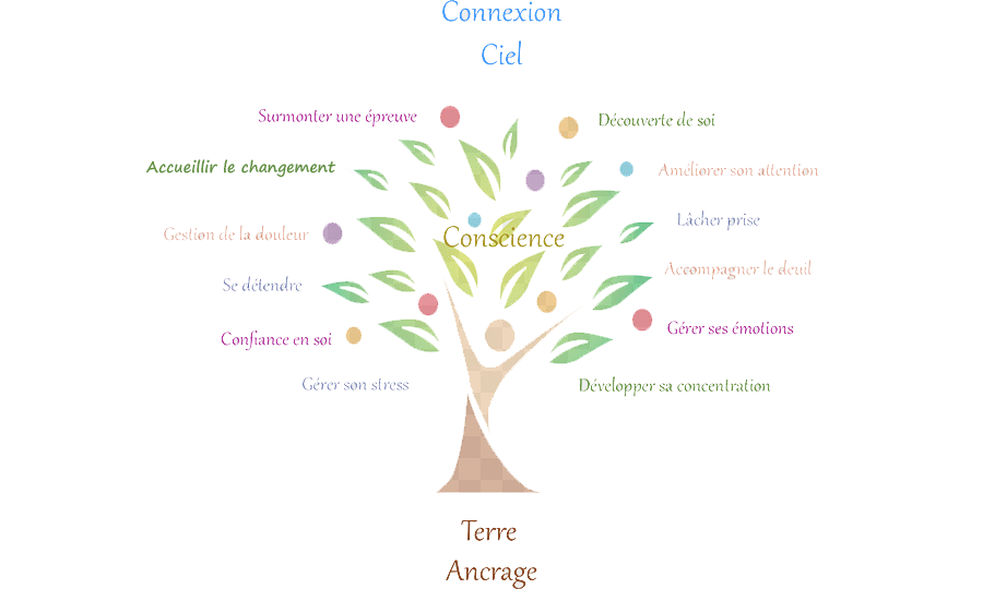 arbre